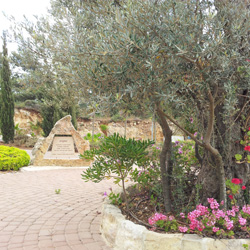 הר אדר 