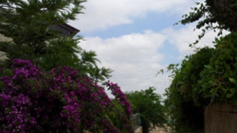 המדרגות המחברות אל מבוא הבוסתן לנוף הרים.jpg