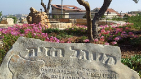 מעגל הזית.jpg