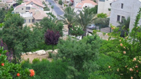 גן הלבונה.jpg