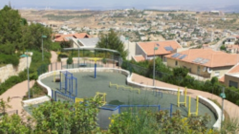 מתקני ספורט בגן הסמוך למבוא החורש.jpg